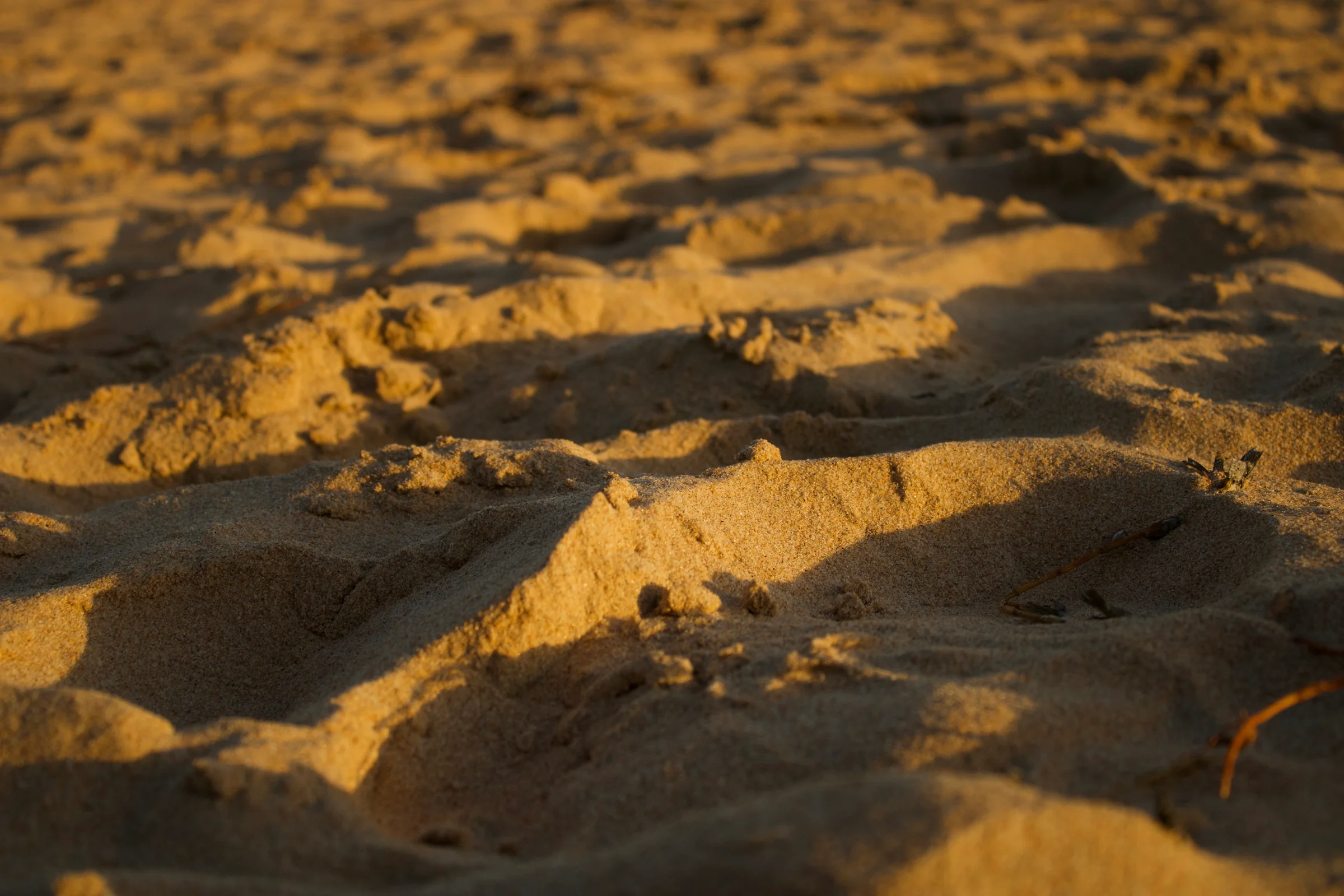 The Sunset rays bouncing off the sand of the beach.