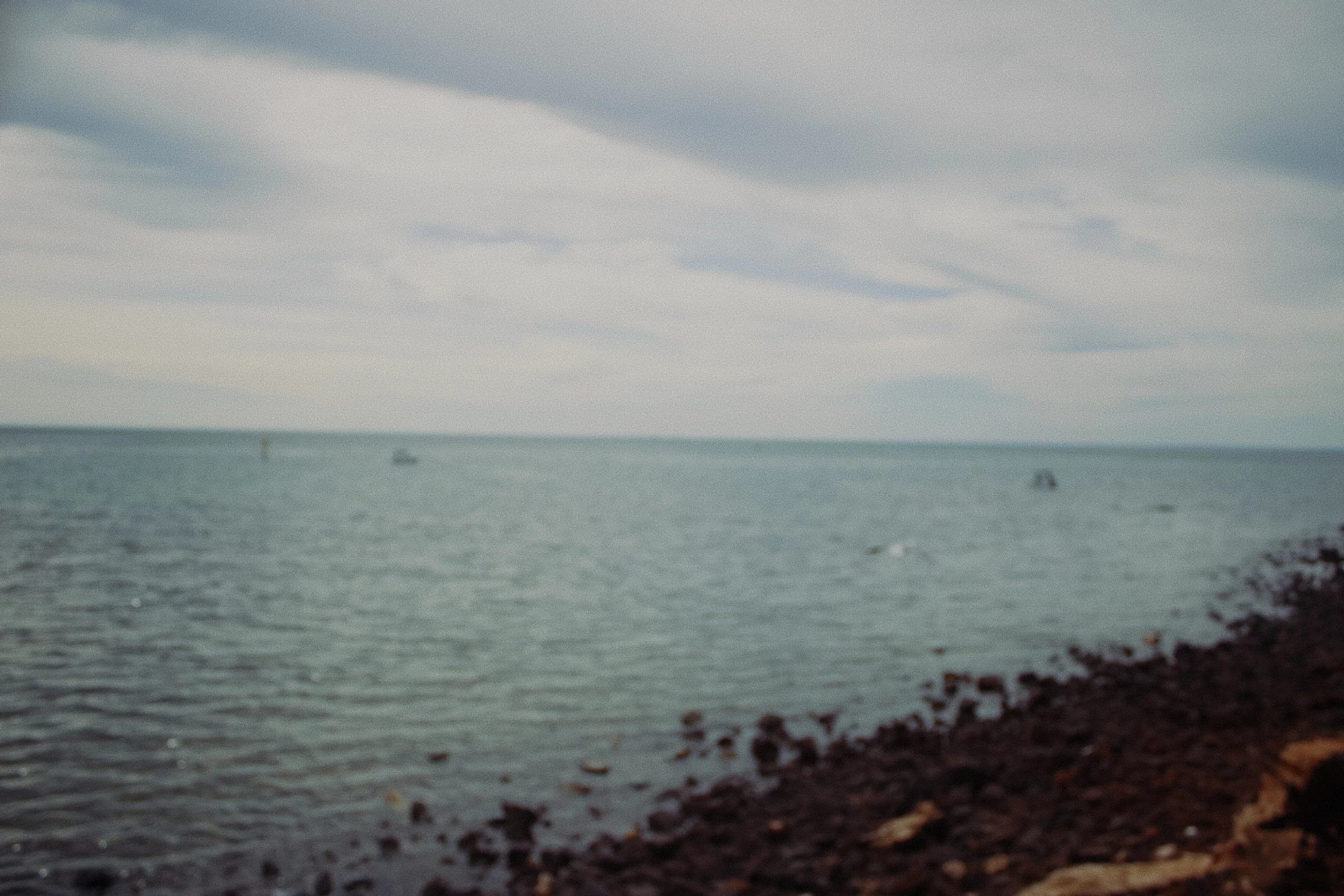 Pale blue open water beneath streaked clouds, with a dark rocky shore in the foreground.